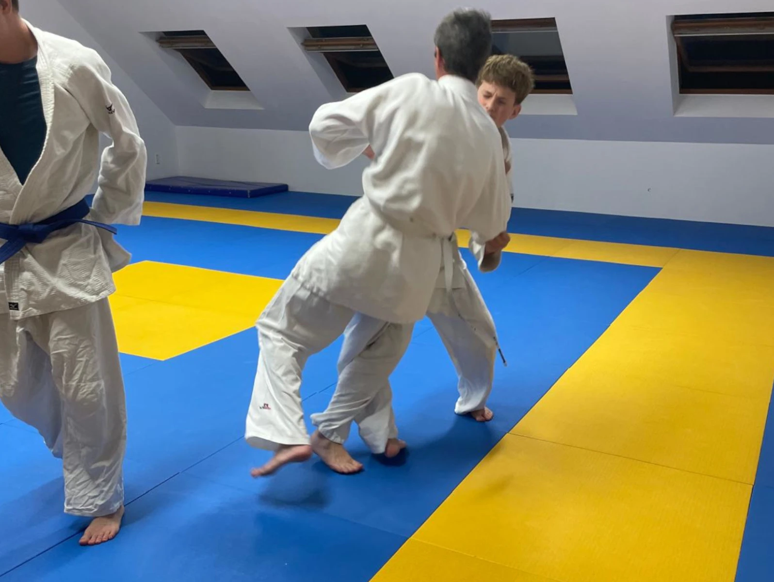 Judotrainings Bild